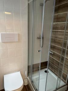 Rudník的住宿－Hotel Auri，一间带卫生间和玻璃淋浴间的浴室