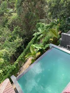 an overhead view of a swimming pool in a forest at Ista Elements, Nautilus villa no 3 in Lonavala
