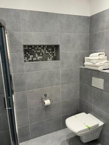 uma casa de banho com um WC e um chuveiro em Vila Niki em Sovata