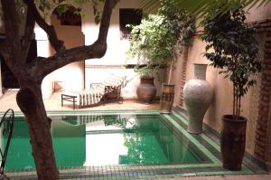 a swimming pool in a courtyard with vases and a tree at Riad Palmier in Marrakesh