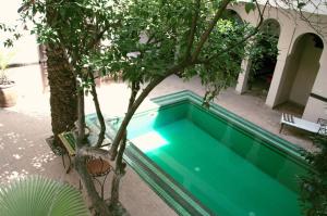 - une piscine dans une cour avec un arbre dans l'établissement Riad Palmier, à Marrakech