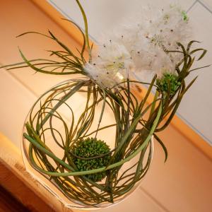 un vase en verre avec des plantes sur une étagère dans l'établissement Seehaus Winkler, à Weissensee