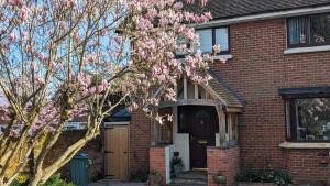 a brick house with a flowering tree in front of it at Little Barham B&B 