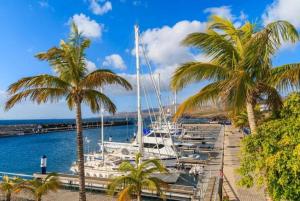 een groep boten aangemeerd in een jachthaven met palmbomen bij Villa Saona in Playa Blanca