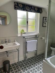 a bathroom with a sink and a window and a toilet at Luxury Cottage with Garden in Bredon