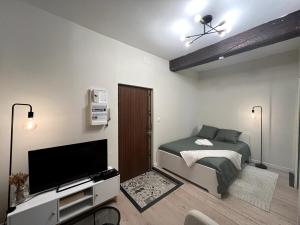a bedroom with a bed and a flat screen tv at Proche hyper centre & Gare SNCF in Toulouse +4 photos