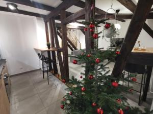 Kuchyň nebo kuchyňský kout v ubytování La Pomme du Président III