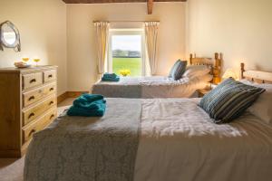 two beds in a bedroom with a window at Brynonnen Nanternis in Llanllwchaiarn