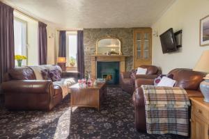 a living room with leather furniture and a fireplace at Brynonnen Nanternis in Llanllwchaiarn