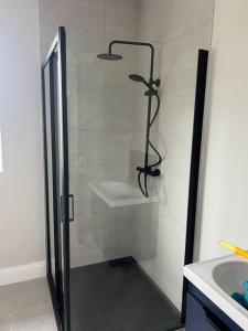 a shower with a glass door next to a sink at Willow Valley in Monaghan