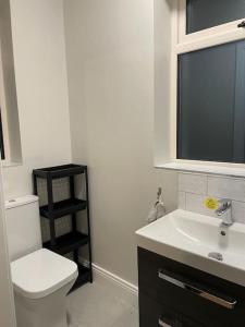 een badkamer met een wit toilet en een wastafel bij Willow Valley in Monaghan