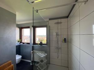 ein Bad mit einer Dusche und einem WC in der Unterkunft Ferienwohnung Fichtelnest in Zell im Fichtelgebirge