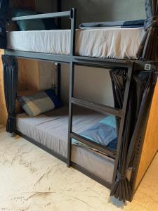a couple of bunk beds in a room at COOLFREEDIVING Hostel in Green Island