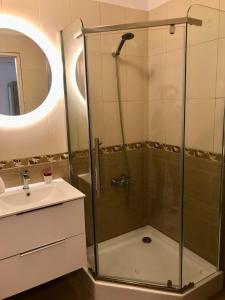 a bathroom with a shower and a sink at FLH - Apartament Central Silva in Sibiu +23 photos
