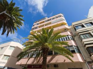 una palmera frente a un edificio en HomeForGuest Estudio Brisa Canteras con terraza, en Las Palmas de Gran Canaria