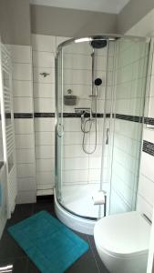 łazienka z prysznicem i toaletą w obiekcie Maaß'ens Ferienhaus w mieście Wildau