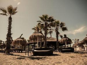 a group of palm trees on a beach with a resort at Beach House Sotogrande - Torreguadiaro in San Roque