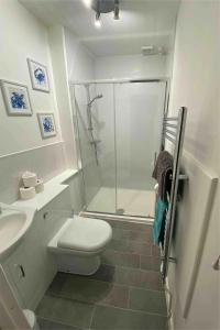 ein Bad mit einer Dusche, einem WC und einem Waschbecken in der Unterkunft 28A Benedict Street in Glastonbury