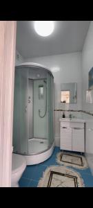 uma casa de banho com um chuveiro, um WC e um lavatório. em Golden Horse Hotel em Taldykorgan