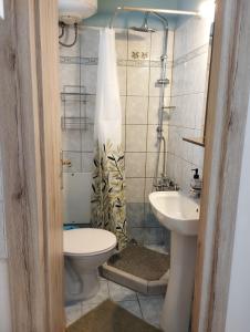 y baño con aseo y lavamanos. en Όμορφο δίχωρο διαμέρισμα στο κέντρο της πόλης, en Kalamata