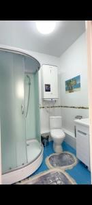 uma casa de banho com um chuveiro, um WC e um lavatório. em Golden Horse Hotel em Taldykorgan