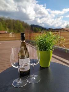 Una botella de vino y dos copas en una mesa. en Allgäu Loft Bergzeit, en Halblech