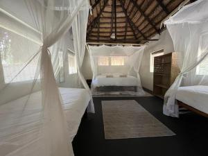 a bedroom with two beds with white drapes at Mango Beach Resort in Praia do Tofo