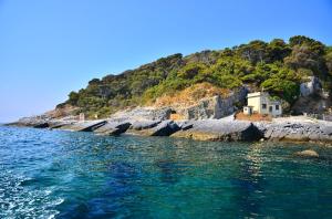 Φυσικό τοπίο κοντά σε αυτό το διαμέρισμα