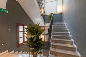 格拉纳达BiBo Suites Palacio de Portago的相册照片