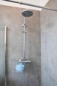 łazienka z prysznicem z głowicą prysznicową w obiekcie Apartment w Brukseli