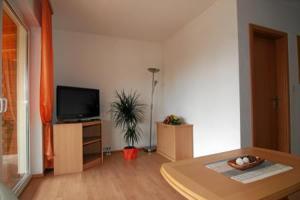 TV a/nebo společenská místnost v ubytování Land-gut-Hotel Seeblick