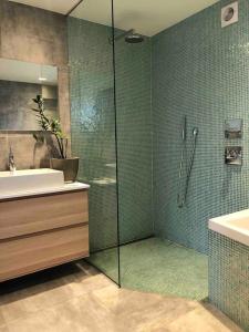 uma casa de banho com uma cabina de duche em vidro e um lavatório. em Sommerparadis på Nesbru - 5 min å gå til stranden em Asker