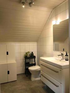 a bathroom with a toilet and a sink and a mirror at Sommerparadis på Nesbru - 5 min å gå til stranden in Asker