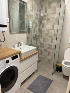 um banheiro com pia e máquina de lavar em Apartman Sofi Divčinova em Divčibare