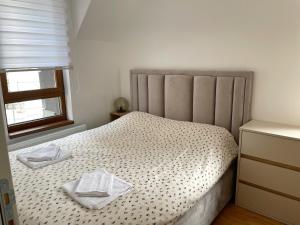 Krevet ili kreveti u jedinici u okviru objekta Apartman Sofi Divčinova