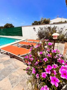 a swimming pool with pink flowers in front of it at Casa a pocos minutos de la playa de Cala Galdana in Cala Galdana