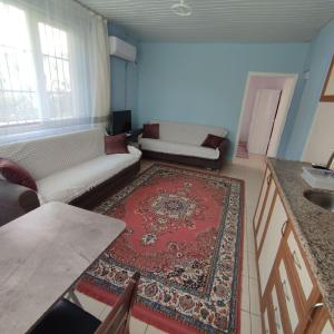 a living room with a couch and a rug at Apt. 1+1, Beldibi. 17 км от Кемера. Есть всё необходимое для жизни. in Beldibi