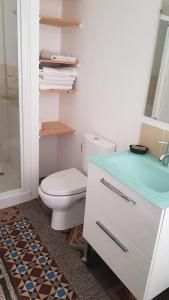 uma casa de banho com um WC e uma bancada azul em Beau T3 avec jardin hyper centre proche gare em Angers