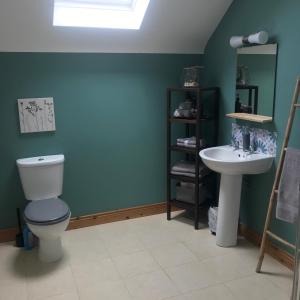 a bathroom with a toilet and a sink at Wild Atlantic Stay Guest House Self-Catering in Galway