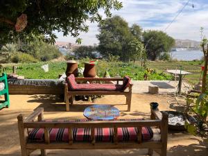 two wooden benches with pillows on them in a yard at Salatoos Mango Camp in Aswan
