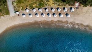 eine Luftansicht auf einen Strand mit Stühlen und Sonnenschirmen in der Unterkunft Atlantica Beach Resort Kos in Kardamaina