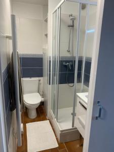 e bagno con servizi igienici e doccia in vetro. di Appartement Domaine de la Coudouliere + piscine (mai à octobre) a Six-Fours-les-Plages