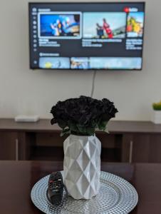 a vase with a plant and a remote control on a table at Hosted by Pauline in Nairobi