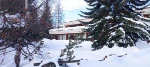 einen schneebedeckten Hof mit Bäumen und einem Gebäude in der Unterkunft Ski apartment Sellette San Sicario Alto in San Sicario
