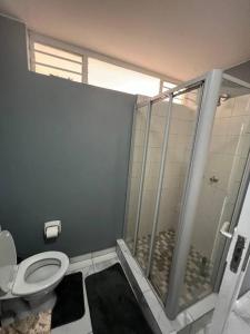 a bathroom with a shower stall and a toilet at Beyond Comfort Apartment in Pretoria