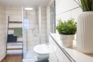 a bathroom with a vase with a plant on a counter at Kleiner Storch - Seehotel Dümmer in Hüde