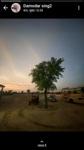 a picture of a tree and a bus at Royal Restaurants in Naorangdesar