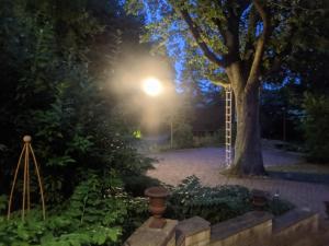 una luz en un jardín por la noche con un árbol en WOW magisches Luxus Glamping mit Pool im Paradies, en Bad Salzdetfurth