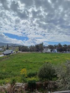 un gran campo de hierba verde con un cielo nublado en Siroco's Rooms And Studios en Parikia