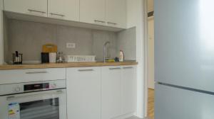 Kuchyň nebo kuchyňský kout v ubytování Premium stan Novi Beograd